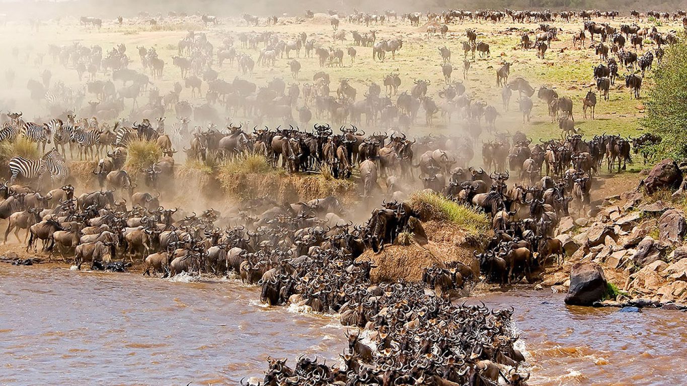 5-Day Ndutu Wildebeest Migration Safari