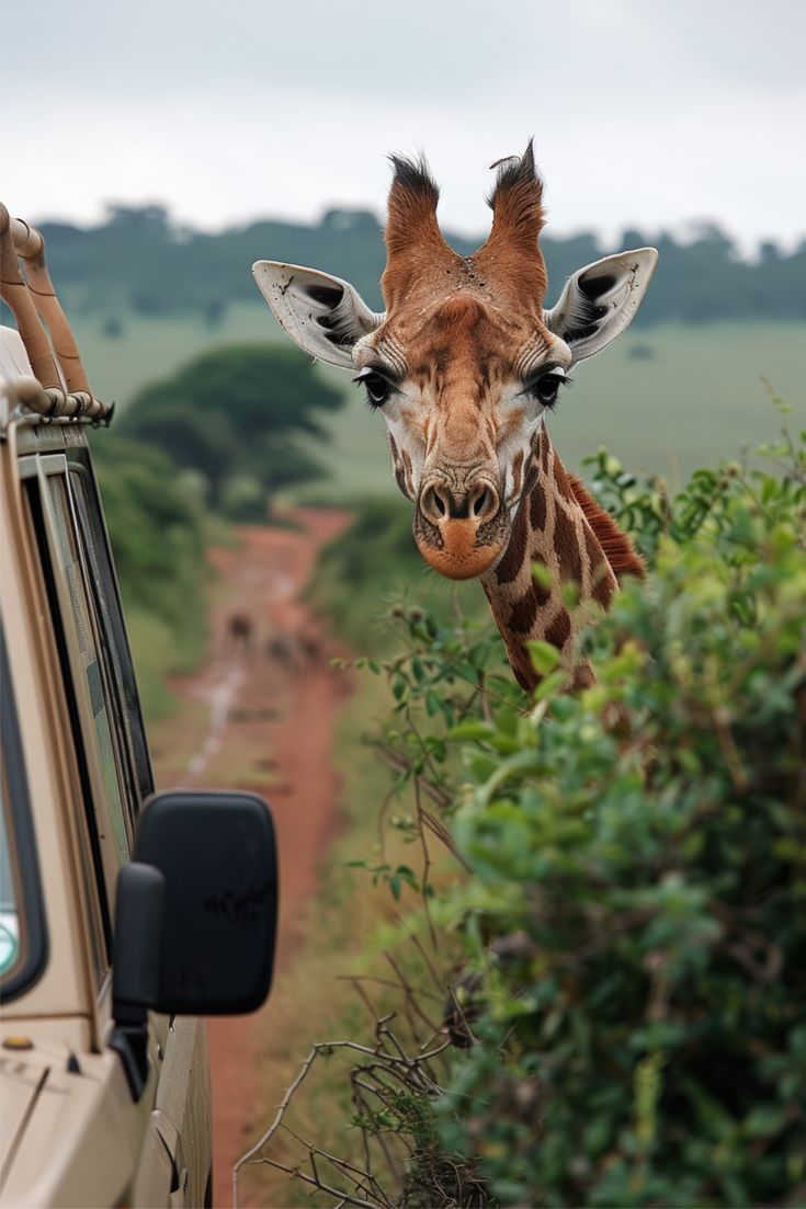 Tanzania Day Trips