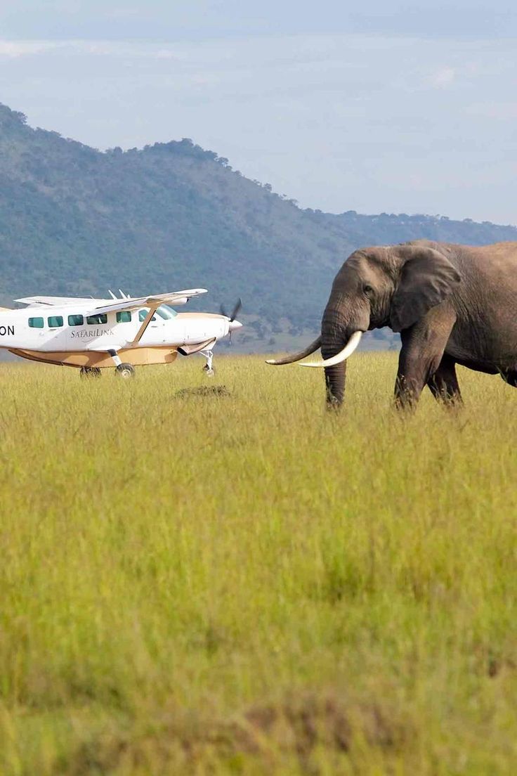 4-Day Luxury Fly-in Safari