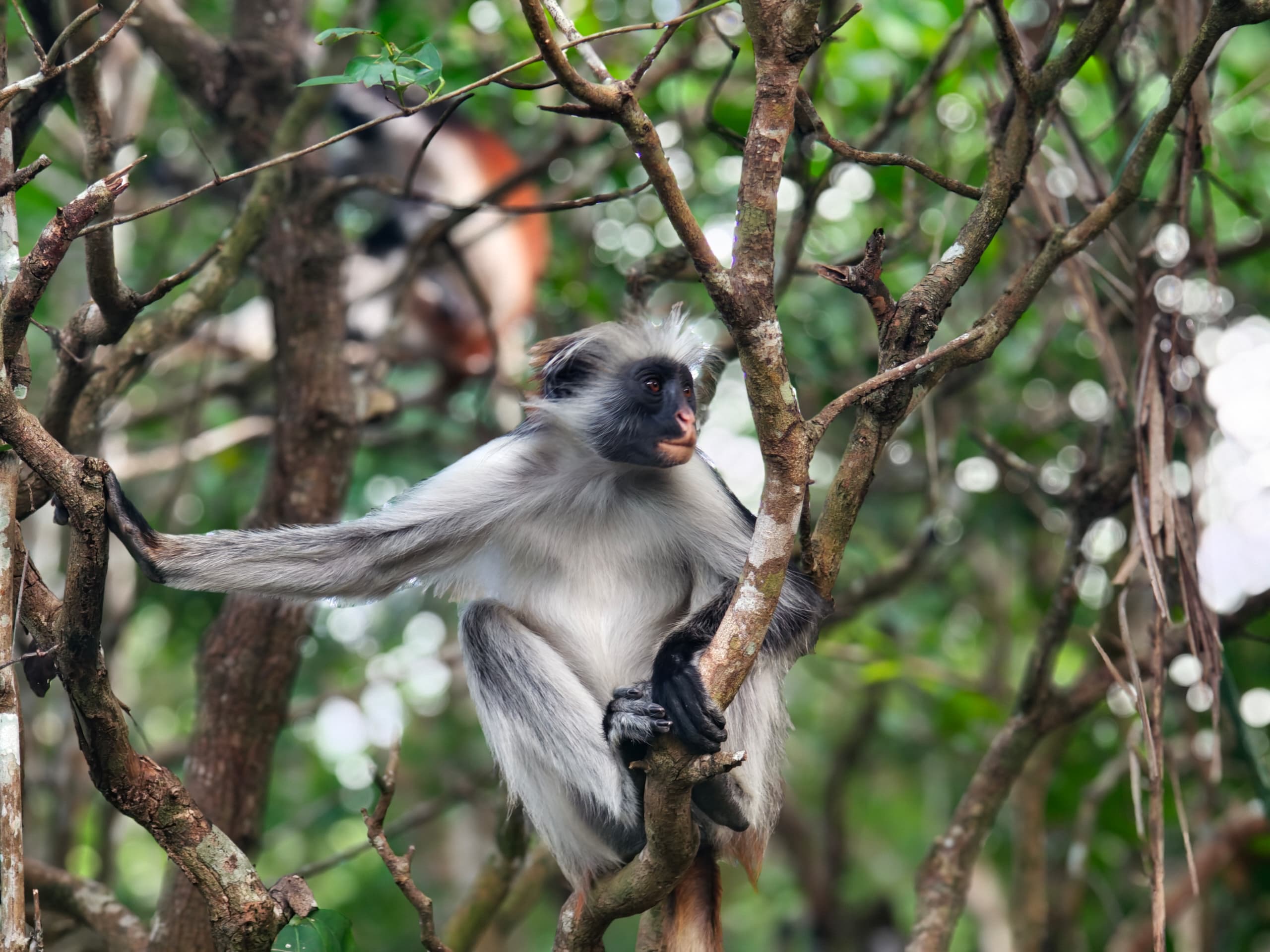 5-Day Zanzibar Beach Holiday