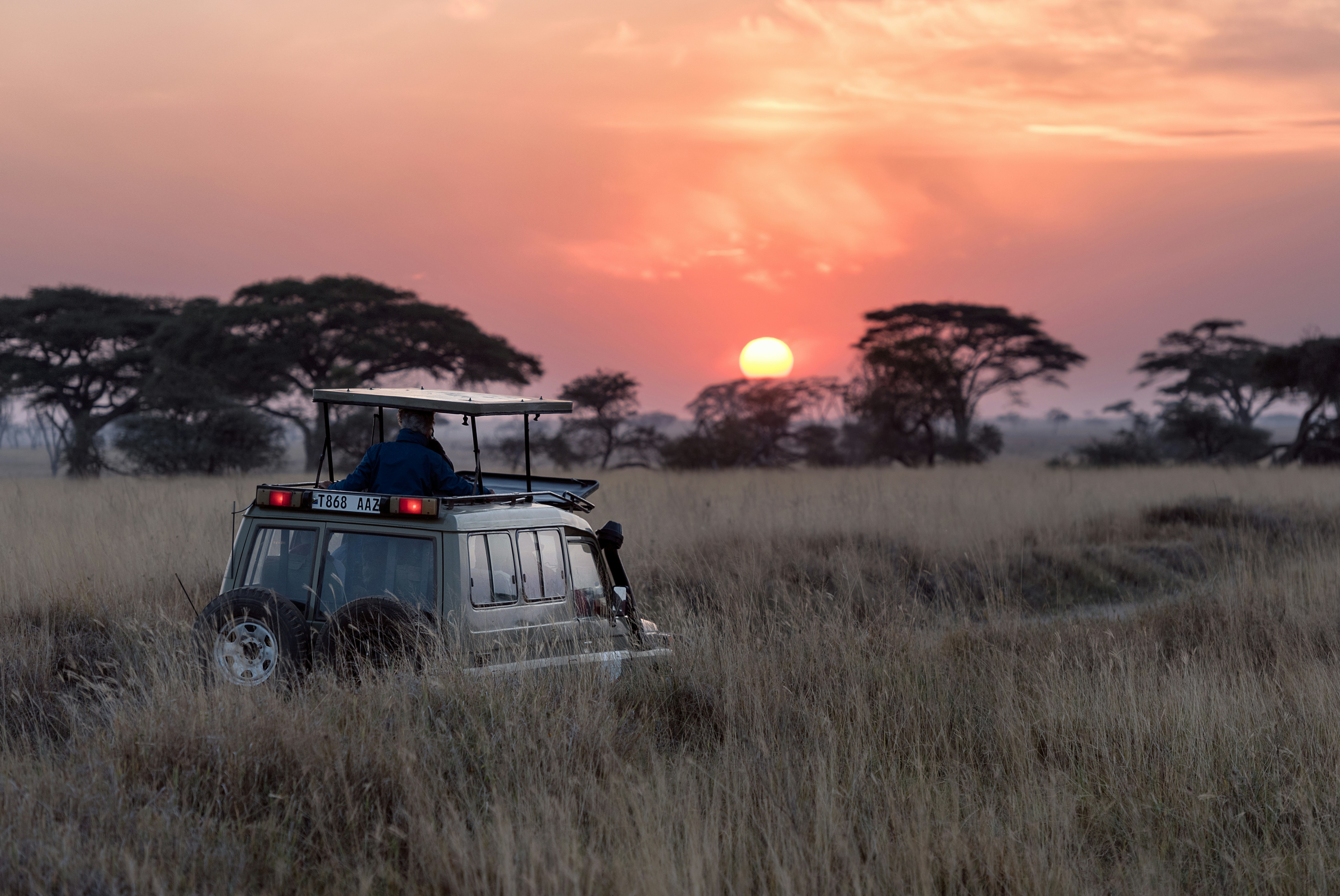 4-Day Luxury Fly-in Safari