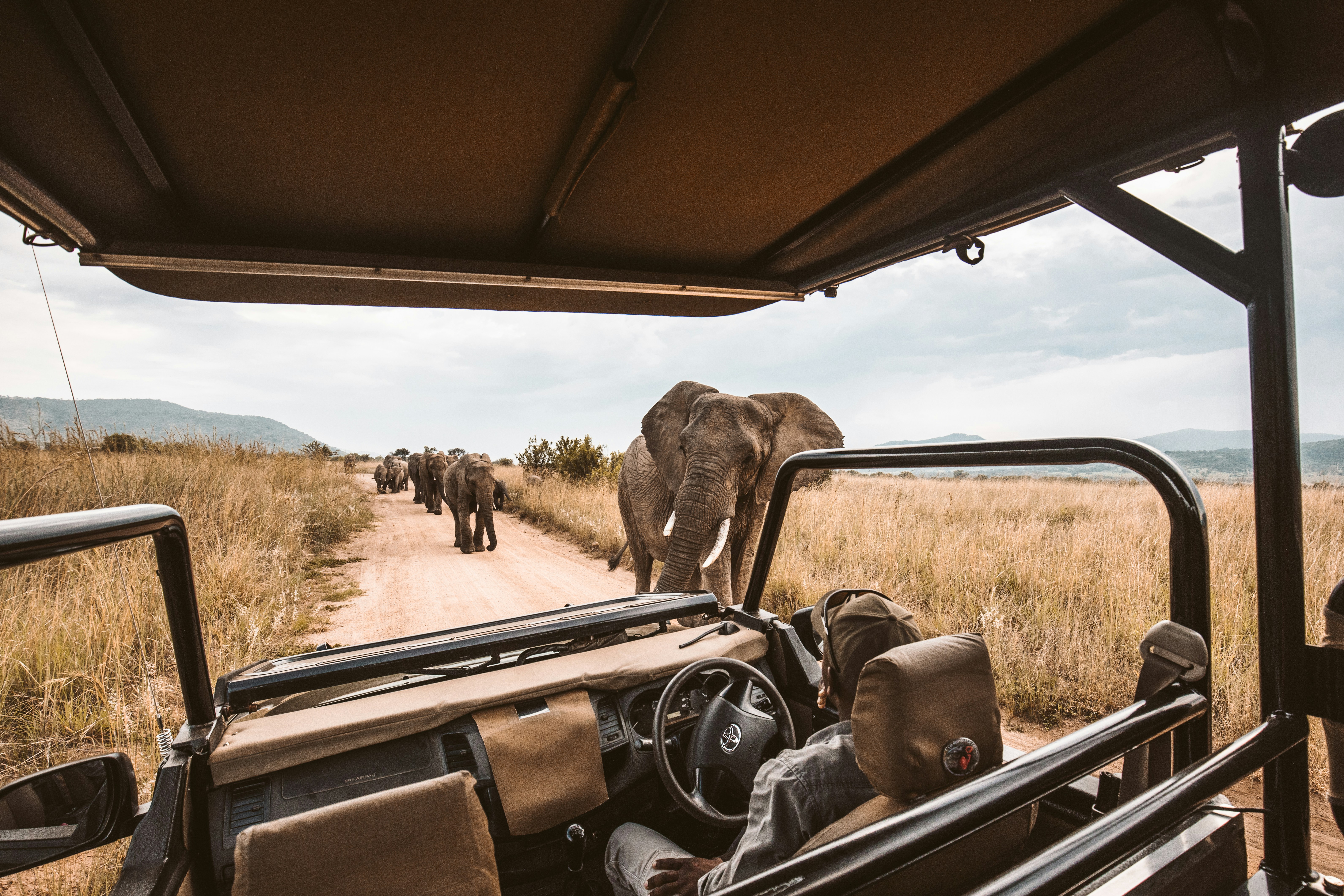 Tarangire National Park