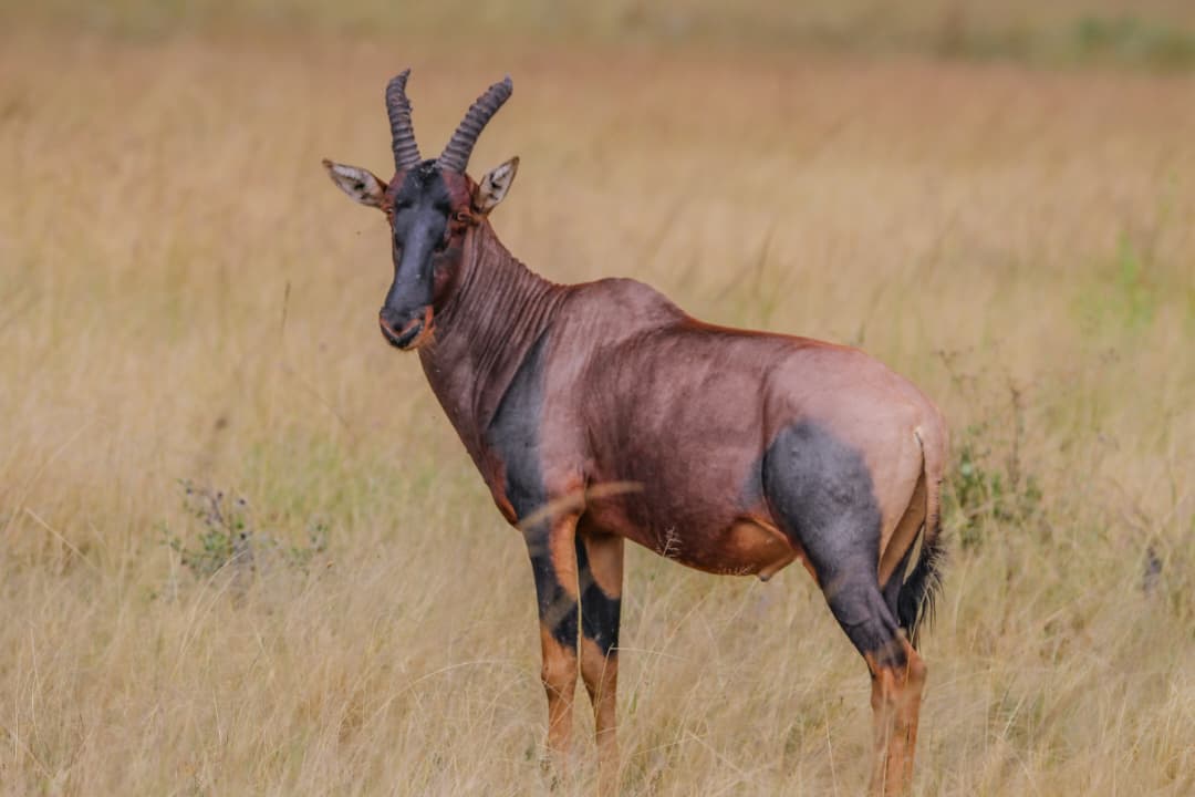 Arusha National Park