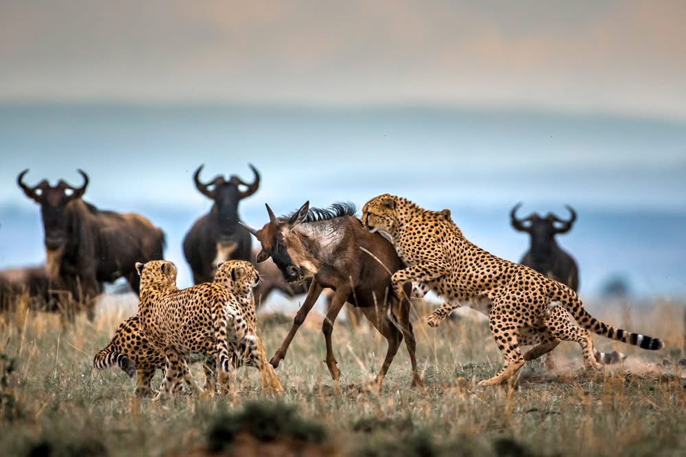Serengeti National Park