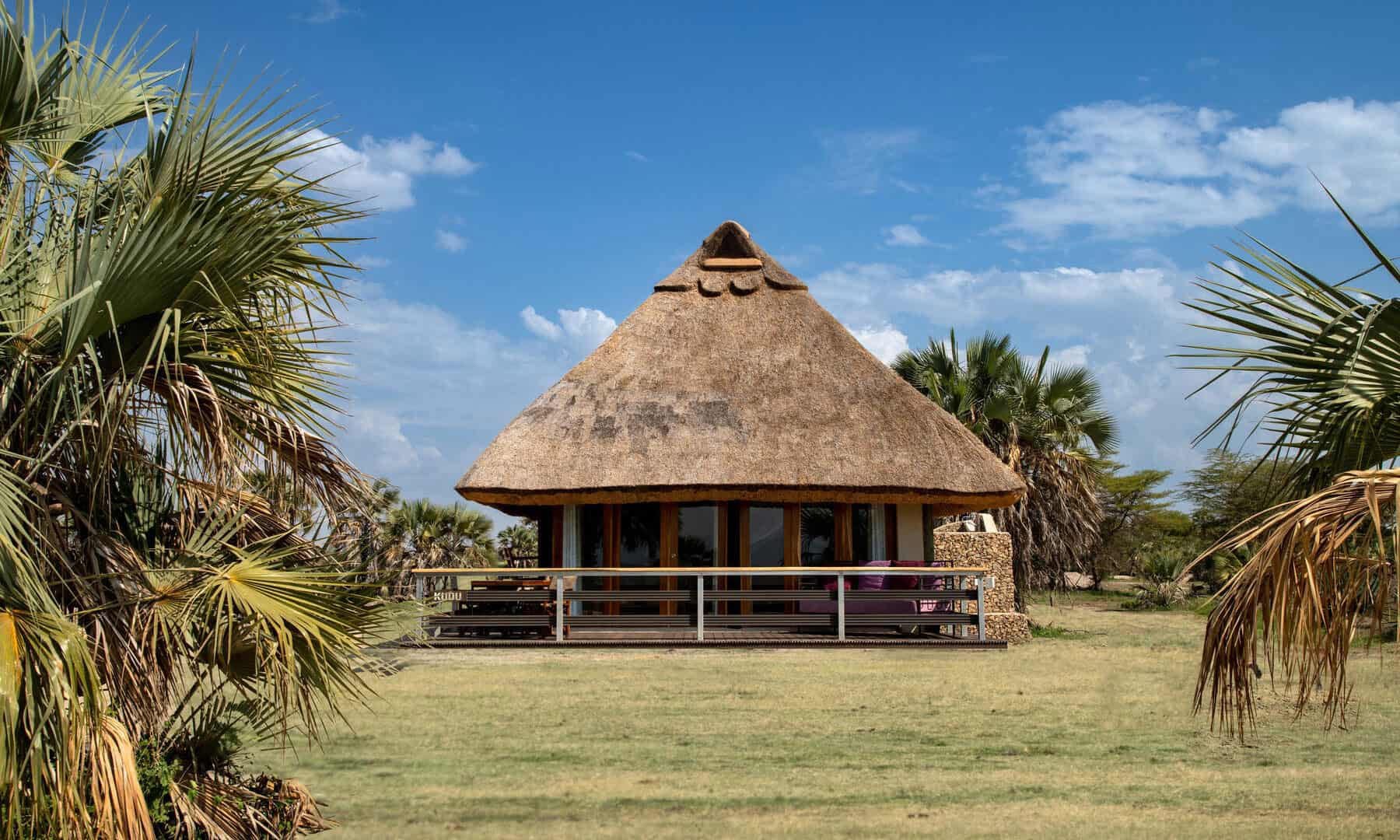 Tanzania vs Kenya Safari: Which Country Should You Choose?