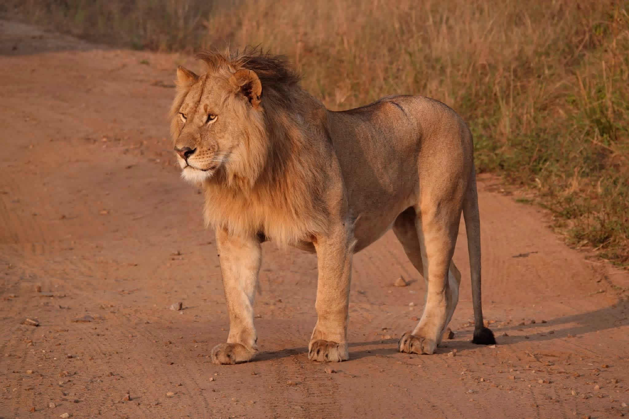 Serengeti National Park