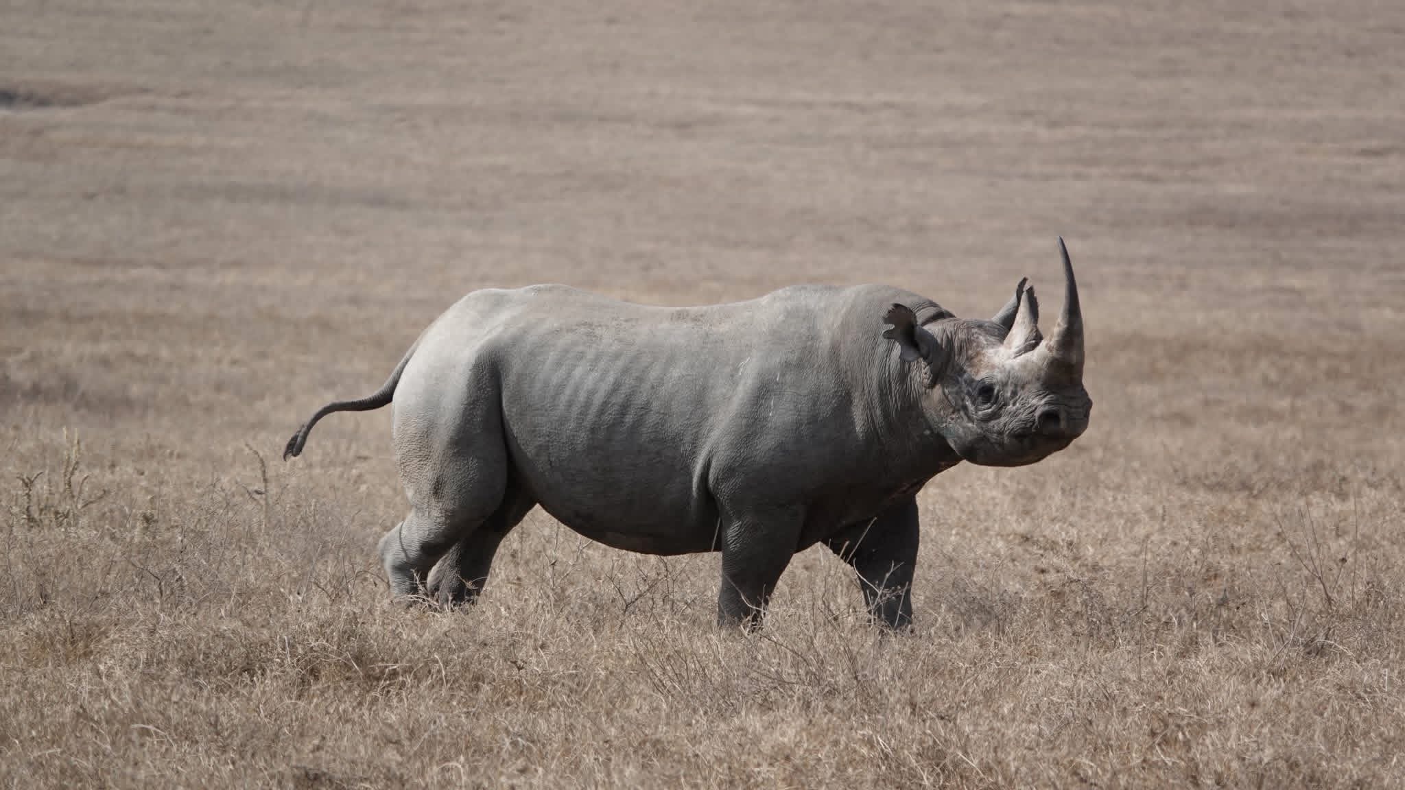 Ngorongoro Crater