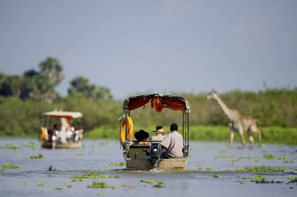Ruaha National Park