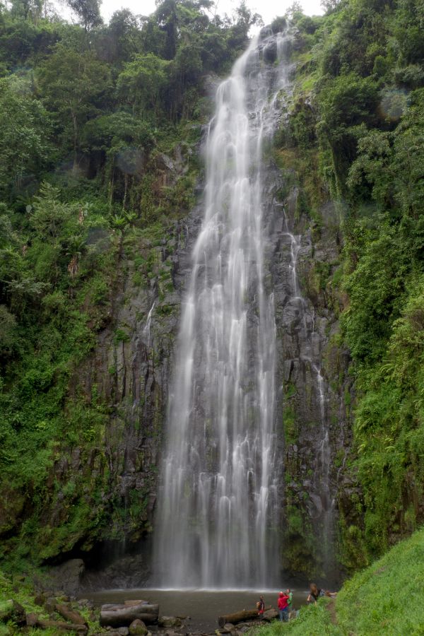 4-Day Manyara, Materuni, Ngorongoro & Tarangire