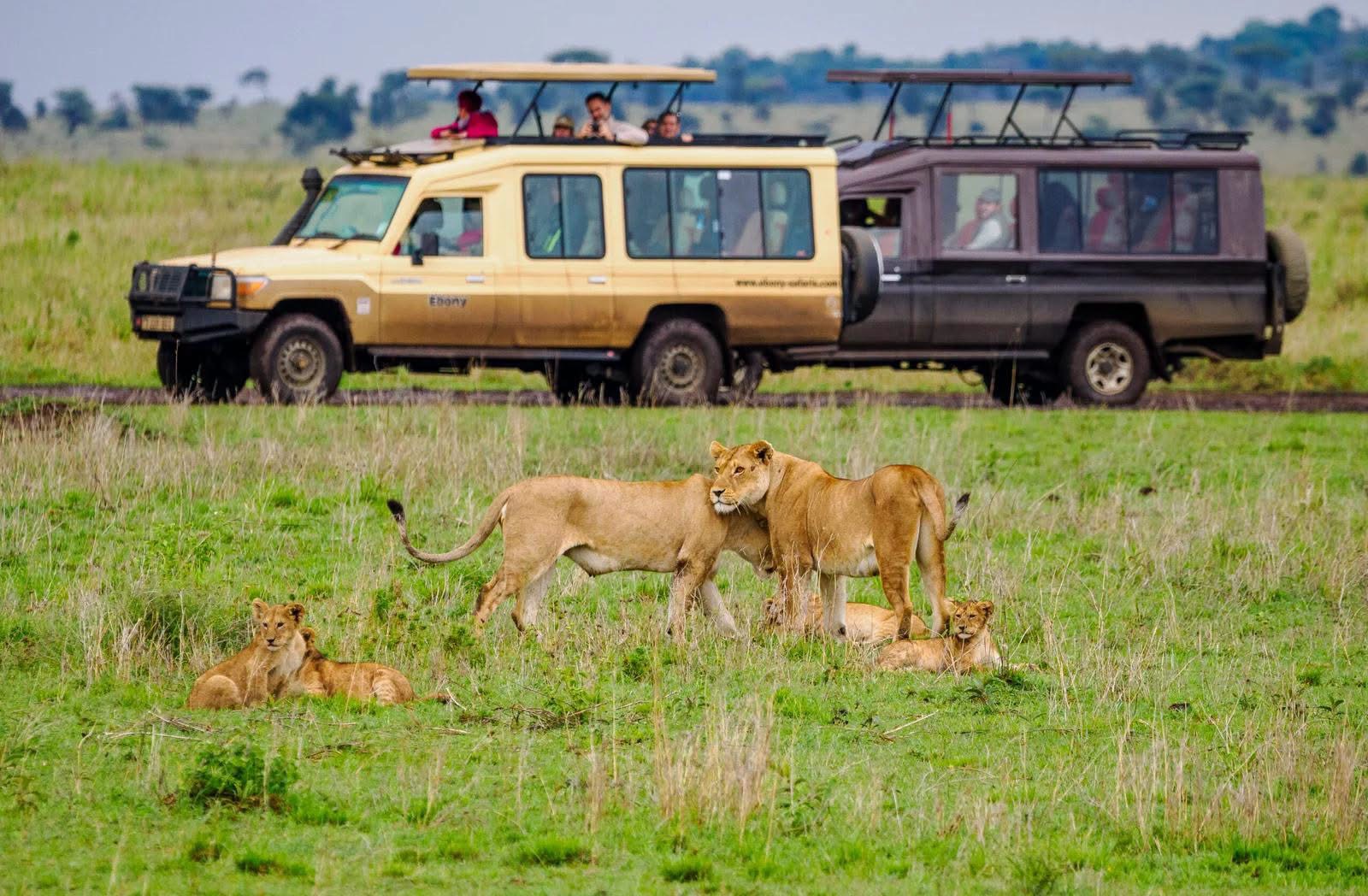 4-Day Ngorongoro & Serengeti NP Budget Tour