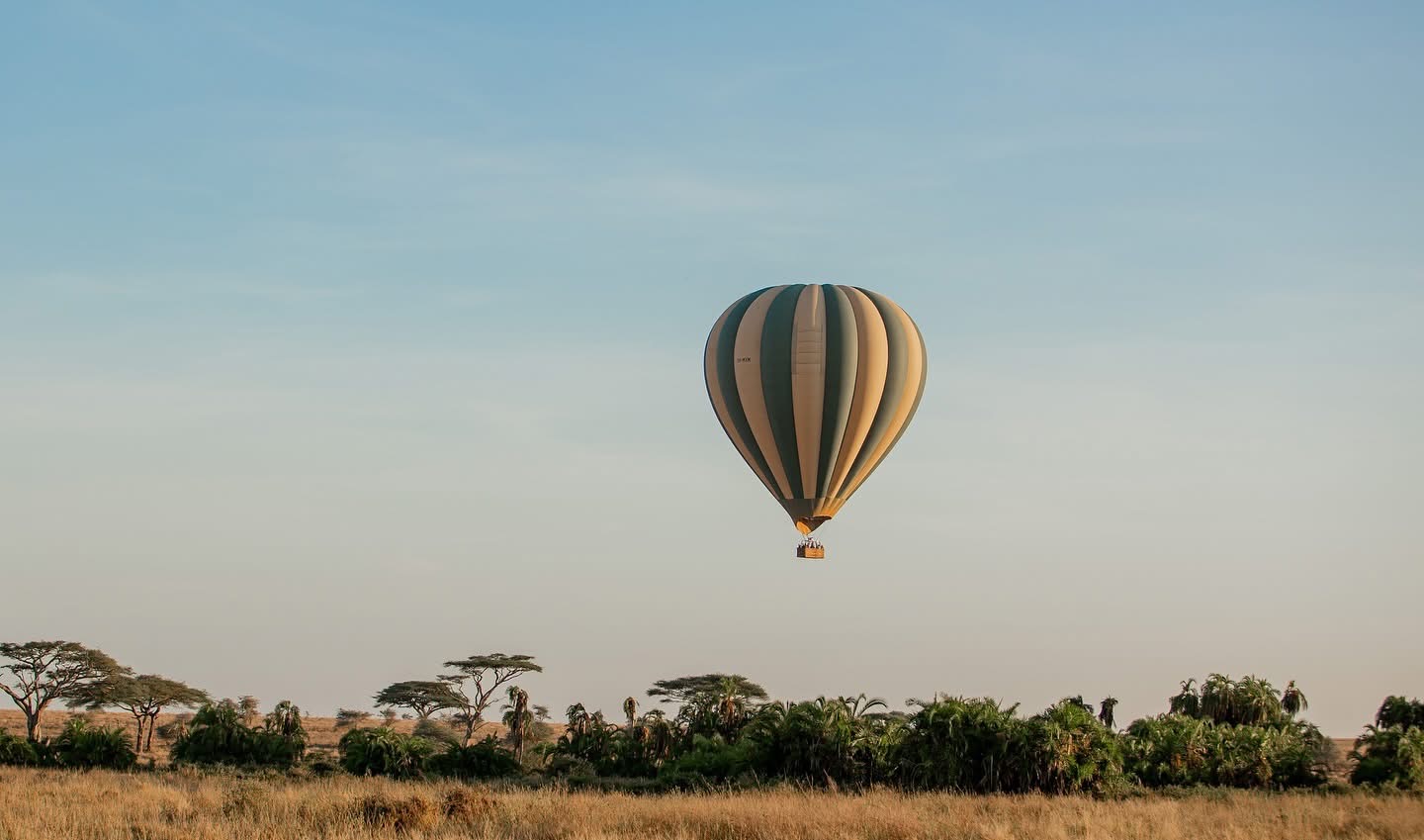 Best Time to Visit Tanzania for Safari: Month by Month Guide