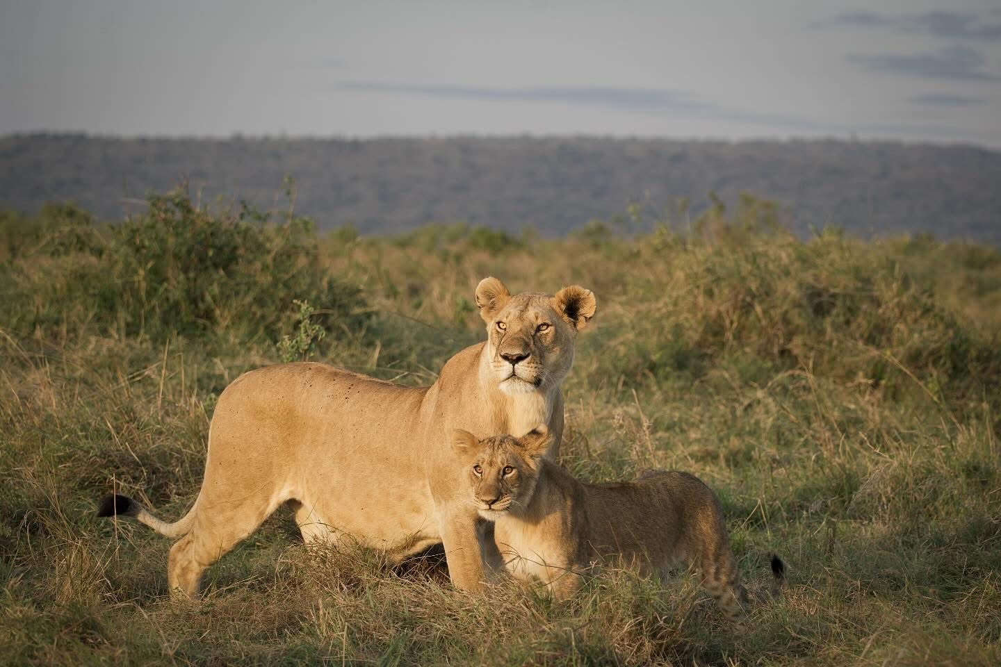 Serengeti National Park