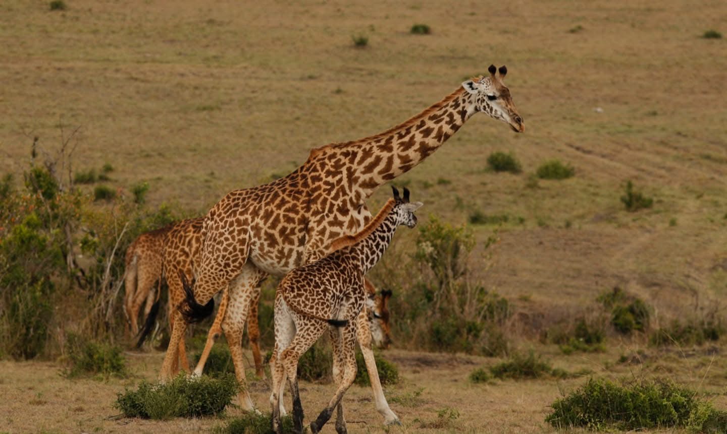 Arusha National Park