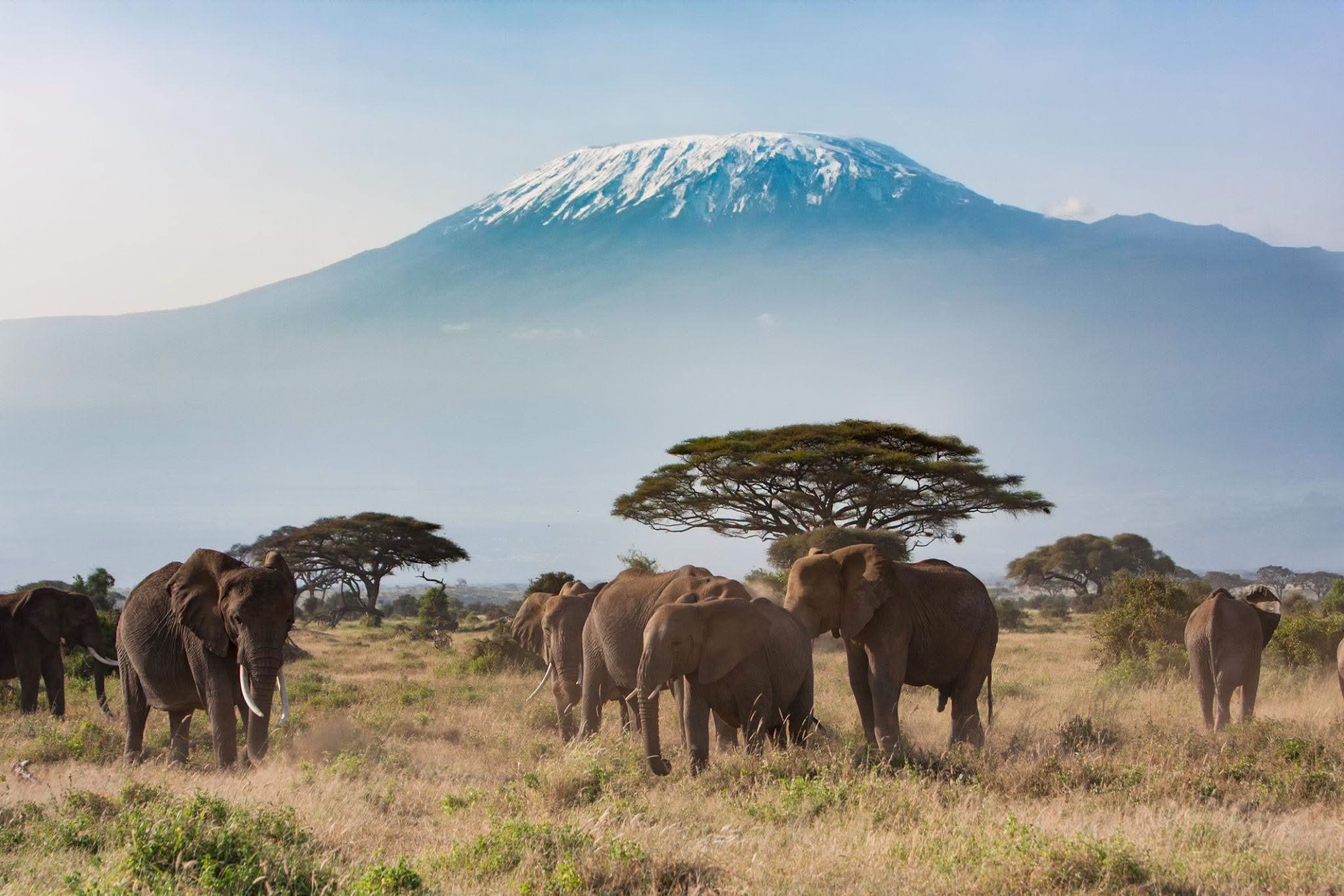 Climb Kilimanjaro