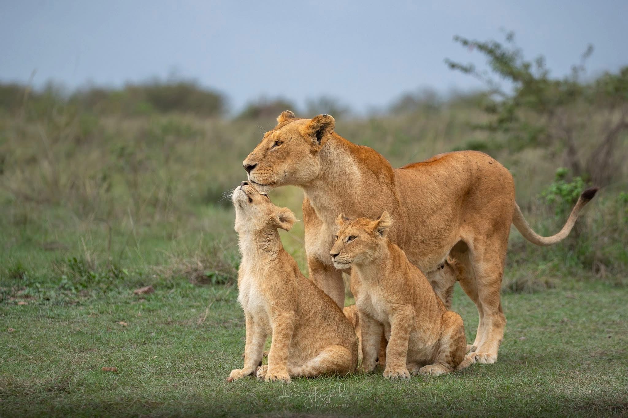 Serengeti National Park