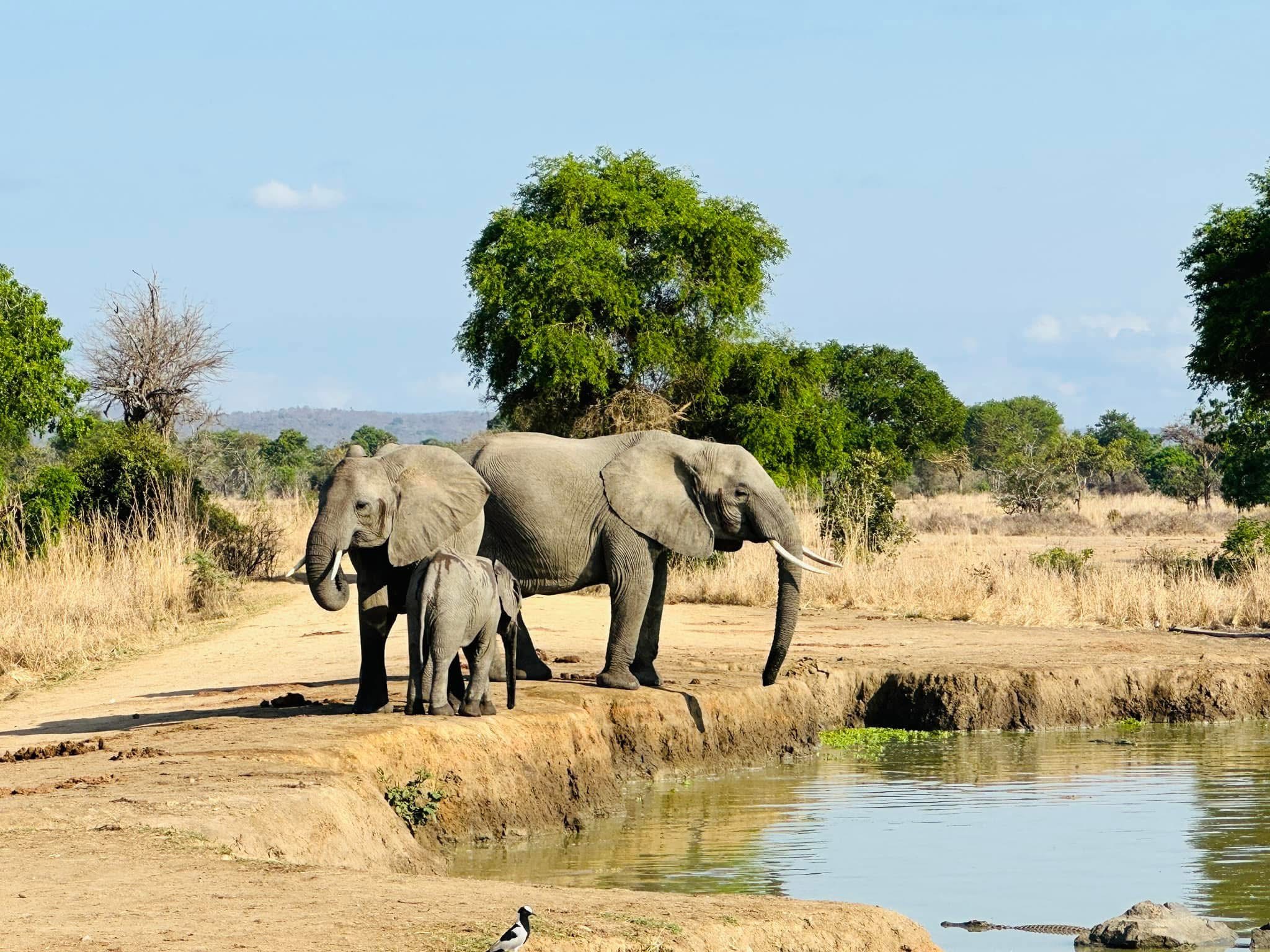 Tarangire National Park