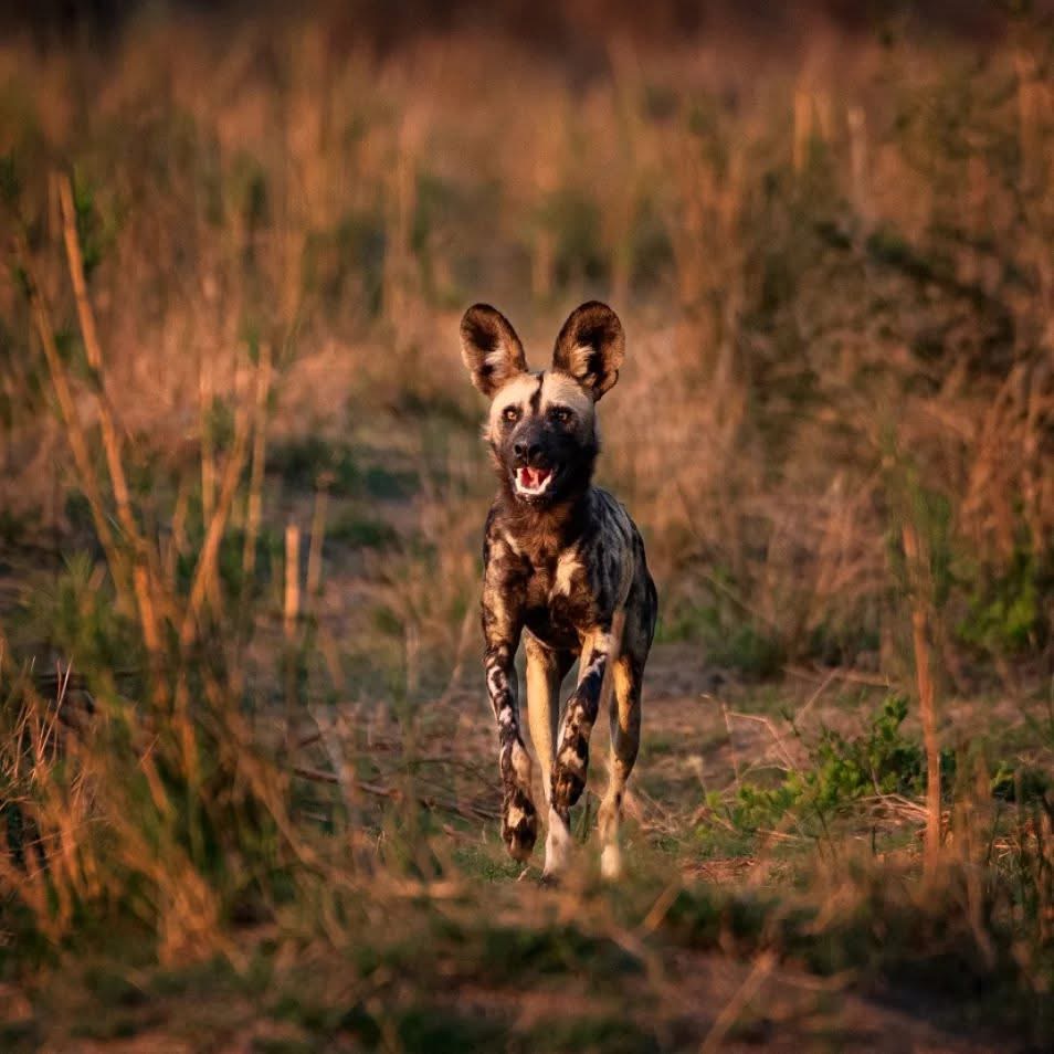 Tarangire National Park