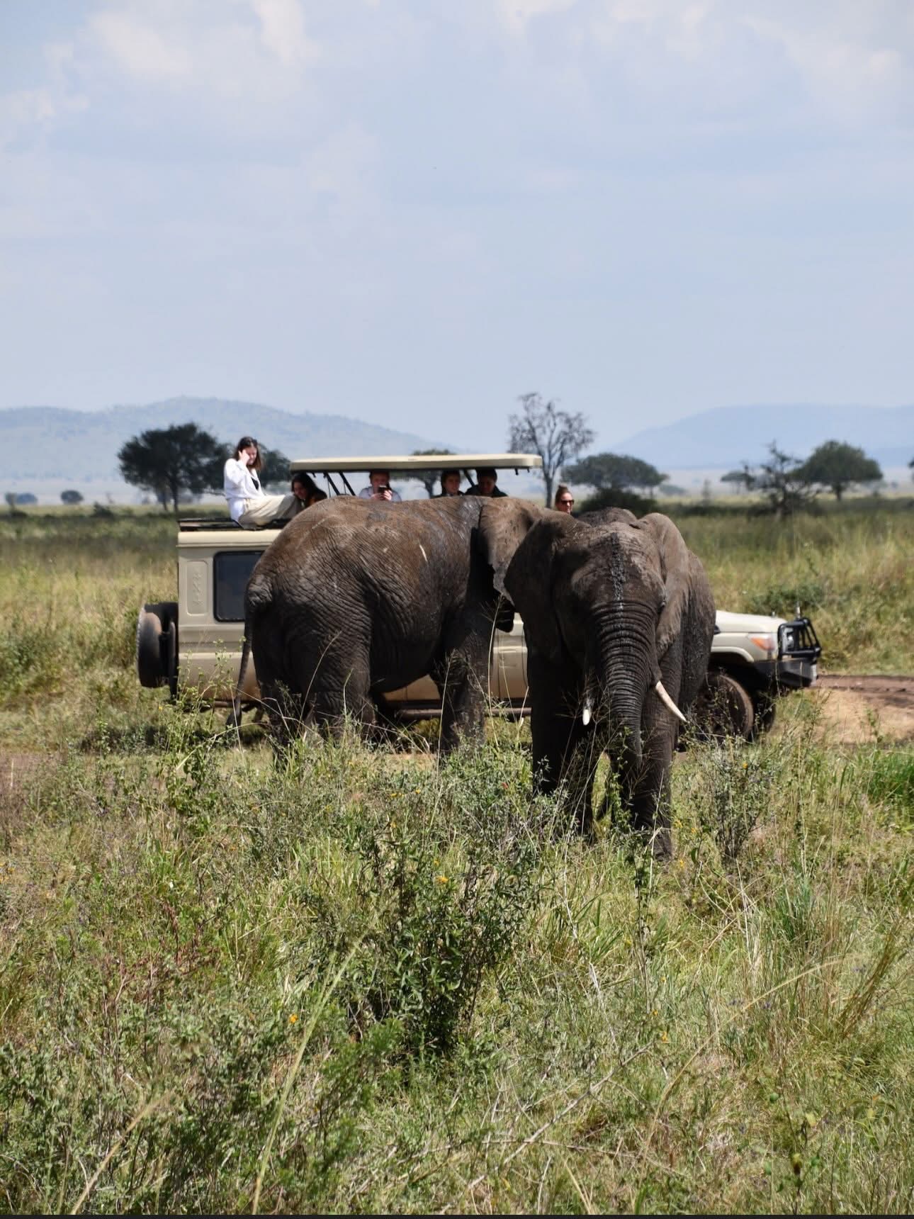 6-Day Tarangire, Serengeti, Ngorongoro, Eyasi & Manyara Safari