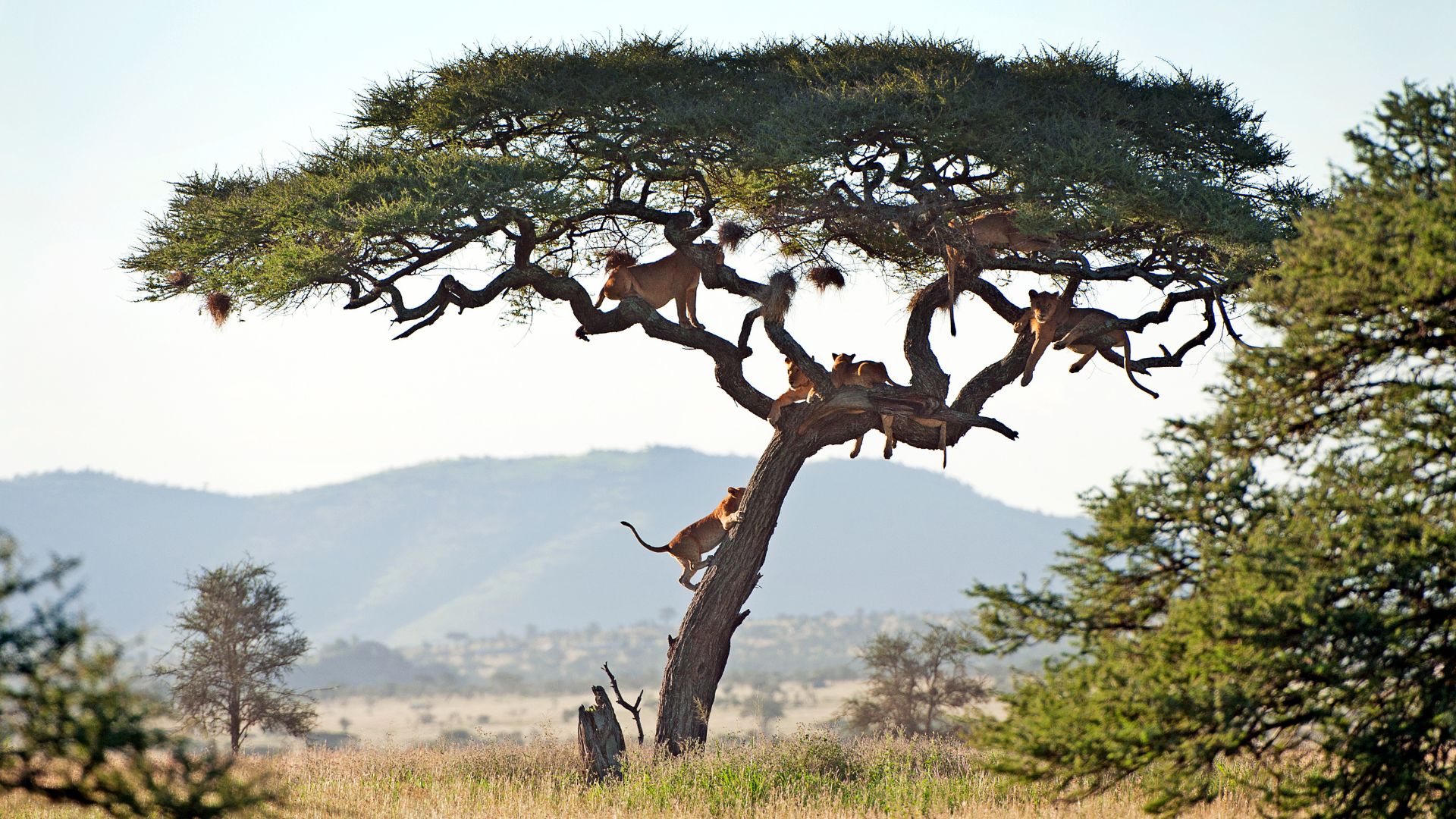 Serengeti National Park