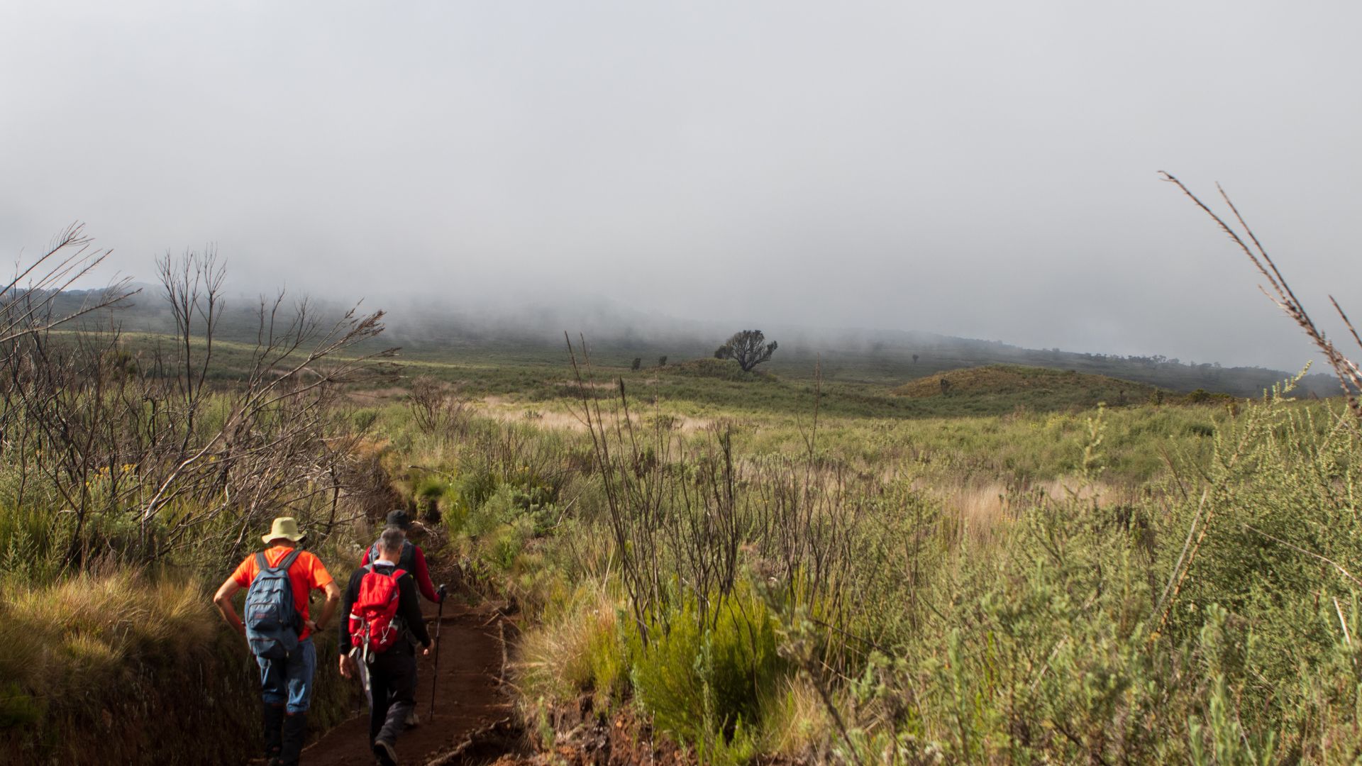 marangu Route